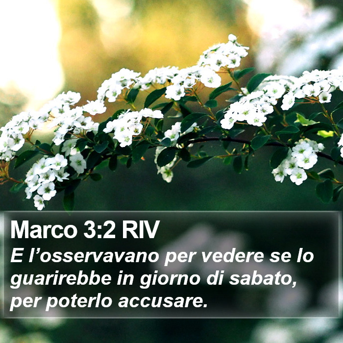 Marco 3:2 RIV Bible Study