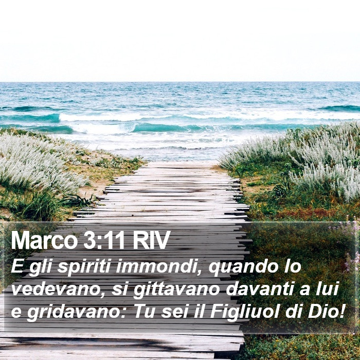 Marco 3:11 RIV Bible Study