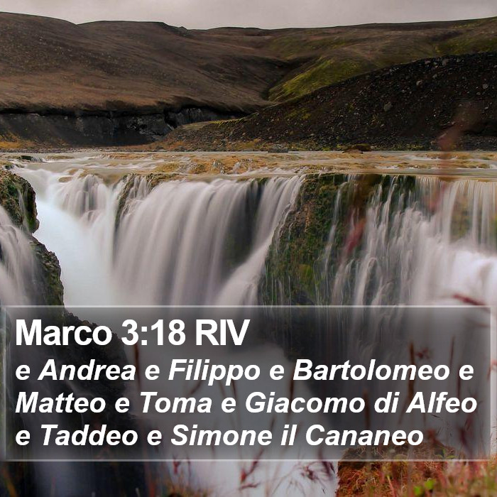 Marco 3:18 RIV Bible Study