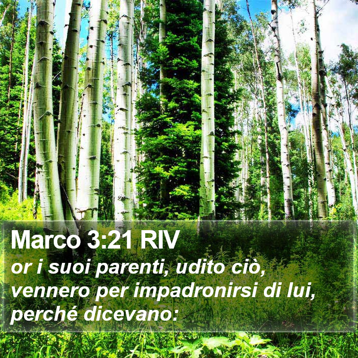 Marco 3:21 RIV Bible Study