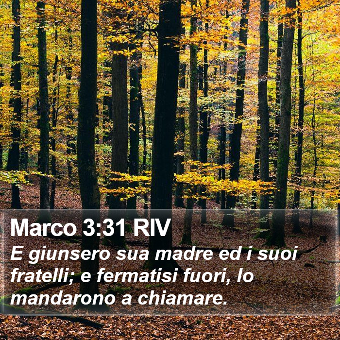 Marco 3:31 RIV Bible Study