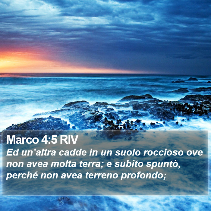 Marco 4:5 RIV Bible Study