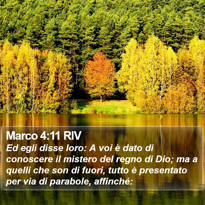 Marco 4:11 RIV Bible Study