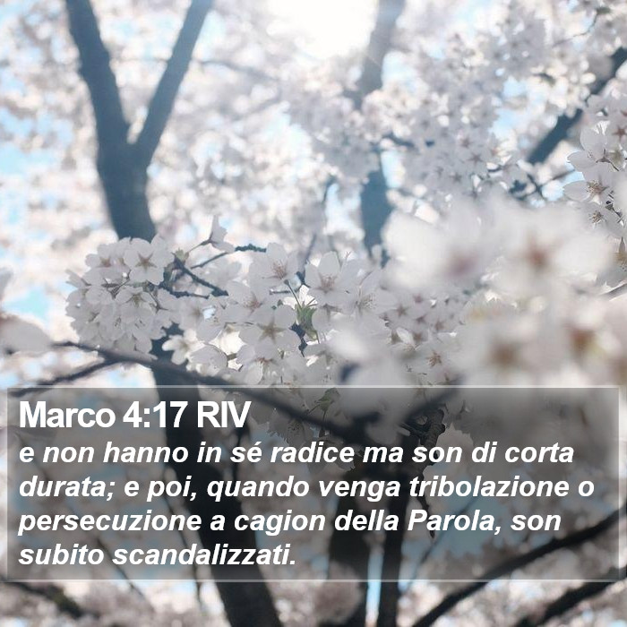 Marco 4:17 RIV Bible Study
