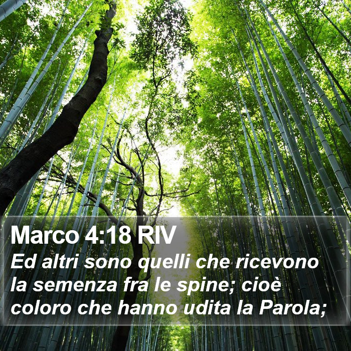 Marco 4:18 RIV Bible Study