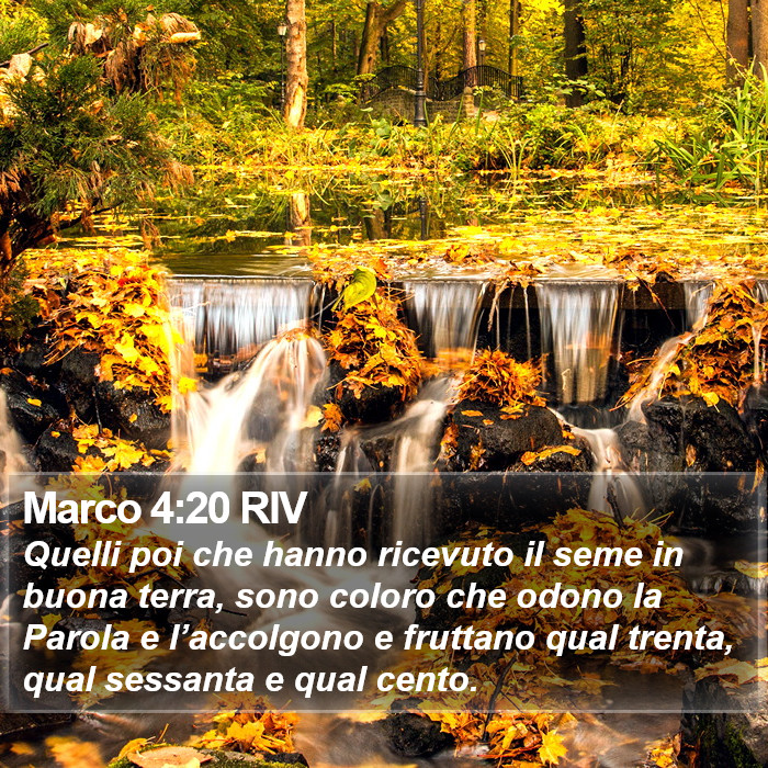 Marco 4:20 RIV Bible Study