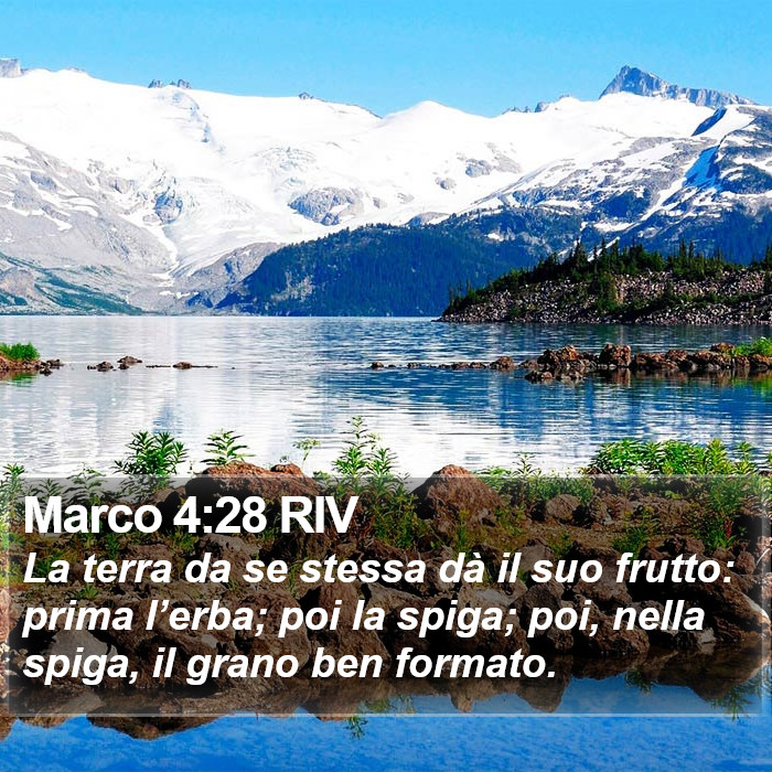 Marco 4:28 RIV Bible Study
