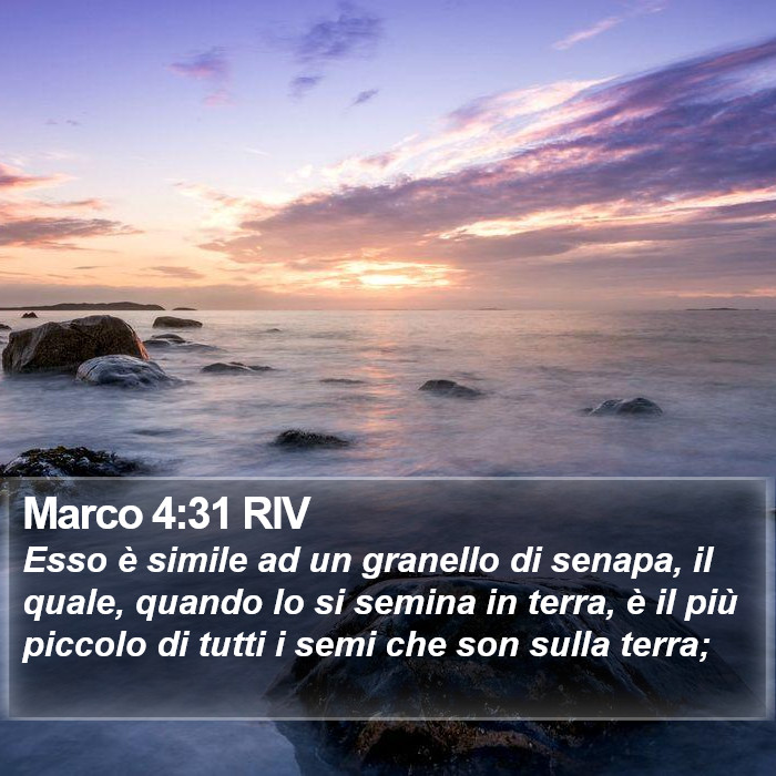 Marco 4:31 RIV Bible Study