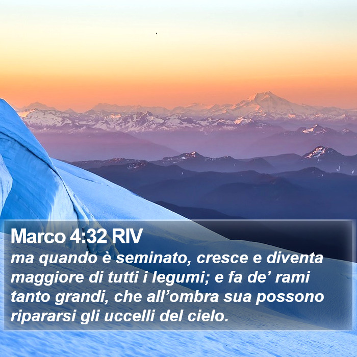 Marco 4:32 RIV Bible Study