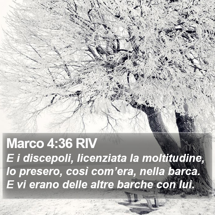 Marco 4:36 RIV Bible Study