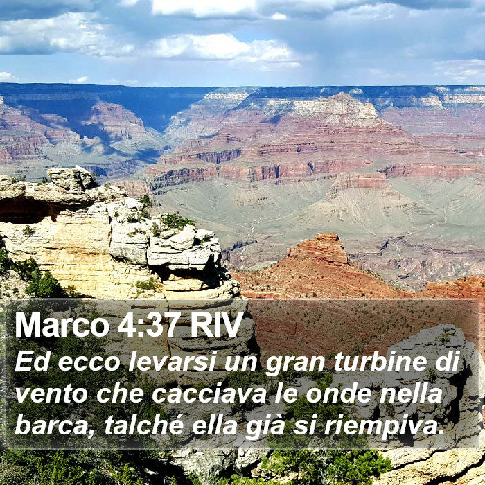 Marco 4:37 RIV Bible Study