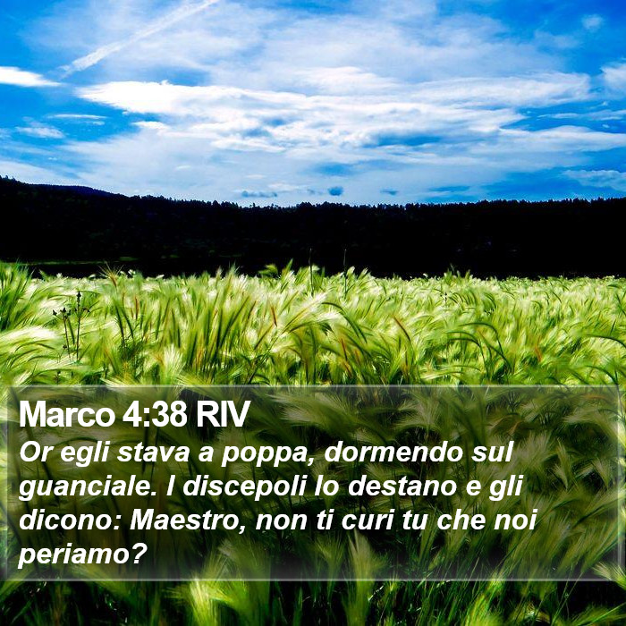 Marco 4:38 RIV Bible Study