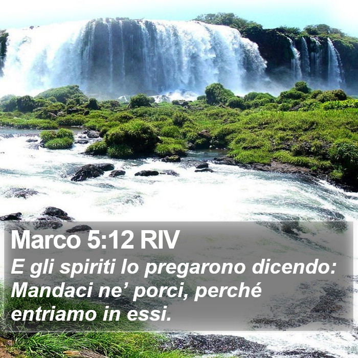 Marco 5:12 RIV Bible Study
