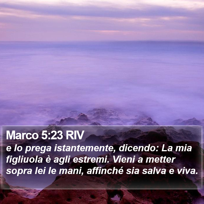 Marco 5:23 RIV Bible Study