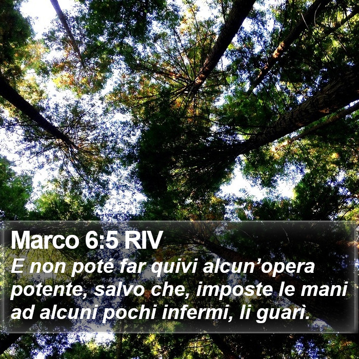 Marco 6:5 RIV Bible Study