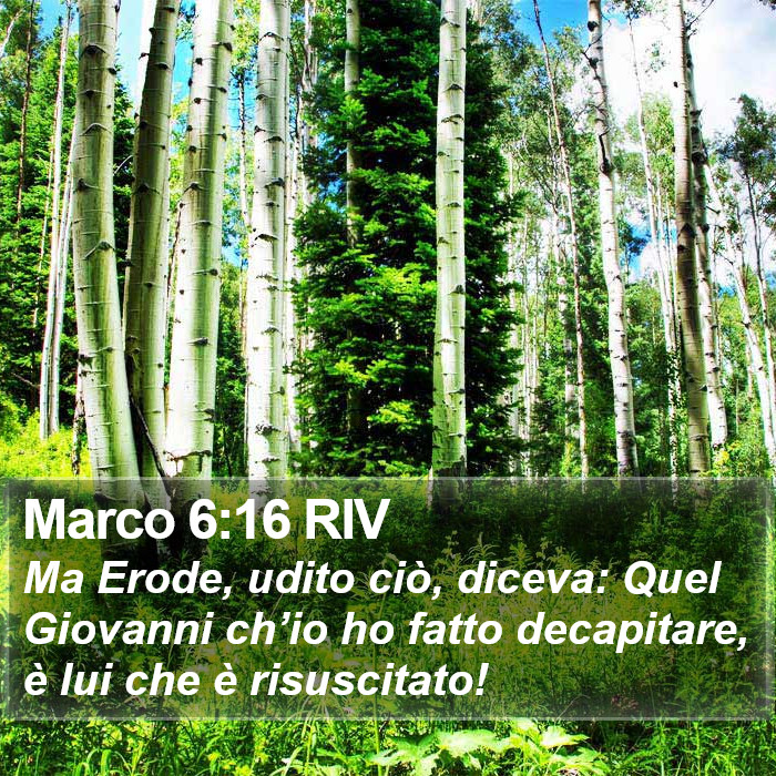 Marco 6:16 RIV Bible Study