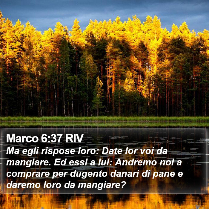 Marco 6:37 RIV Bible Study