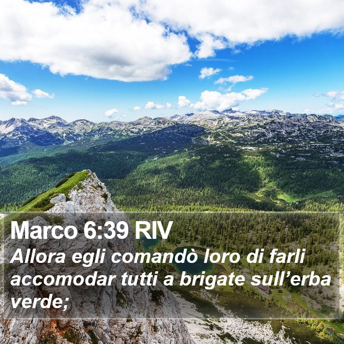 Marco 6:39 RIV Bible Study