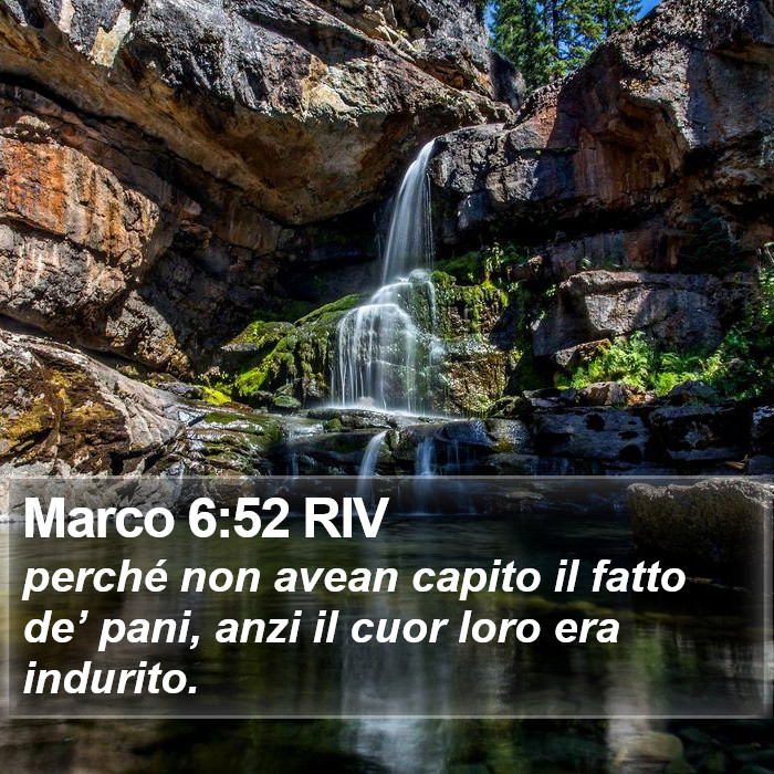 Marco 6:52 RIV Bible Study