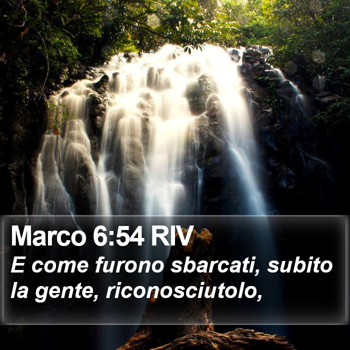 Marco 6:54 RIV Bible Study