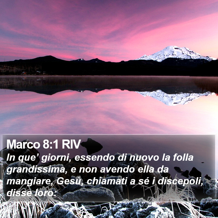 Marco 8:1 RIV Bible Study