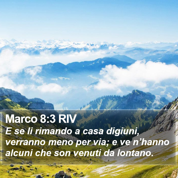 Marco 8:3 RIV Bible Study