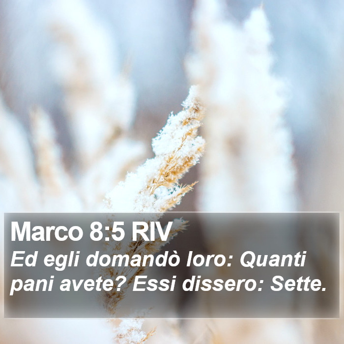 Marco 8:5 RIV Bible Study