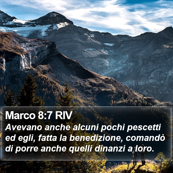 Marco 8:7 RIV Bible Study