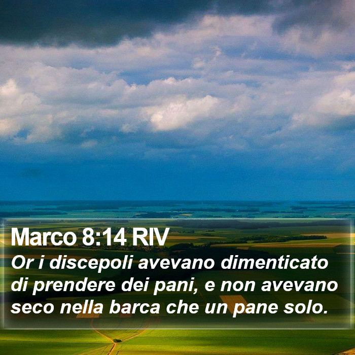 Marco 8:14 RIV Bible Study