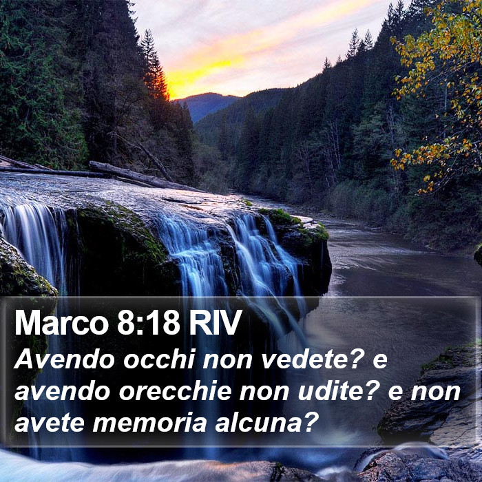 Marco 8:18 RIV Bible Study