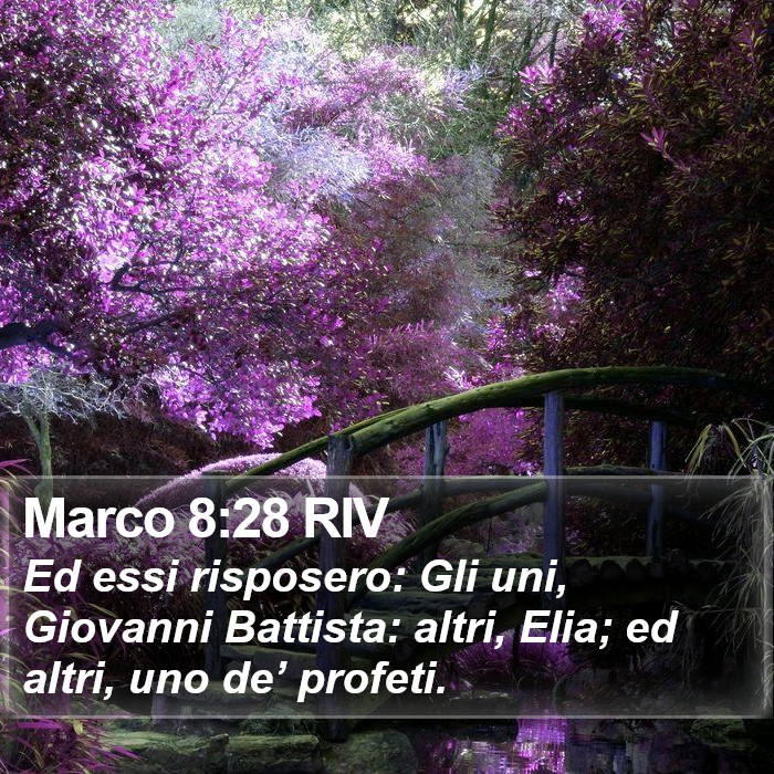 Marco 8:28 RIV Bible Study