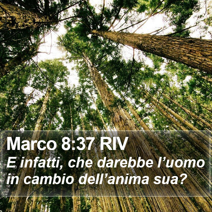 Marco 8:37 RIV Bible Study