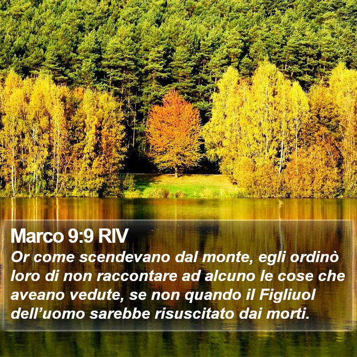 Marco 9:9 RIV Bible Study