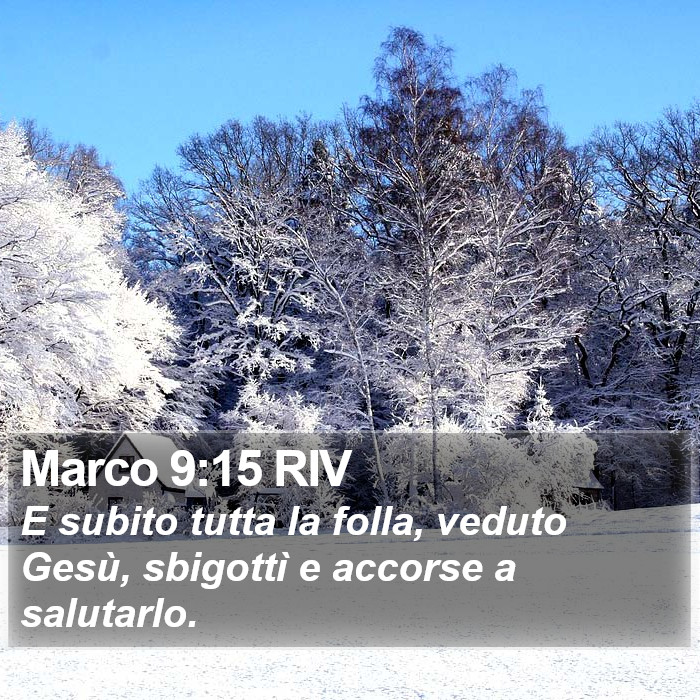 Marco 9:15 RIV Bible Study