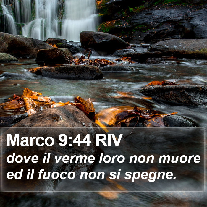 Marco 9:44 RIV Bible Study