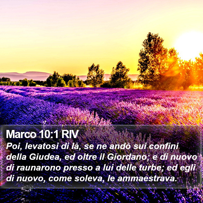 Marco 10:1 RIV Bible Study