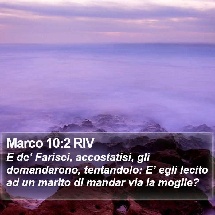 Marco 10:2 RIV Bible Study