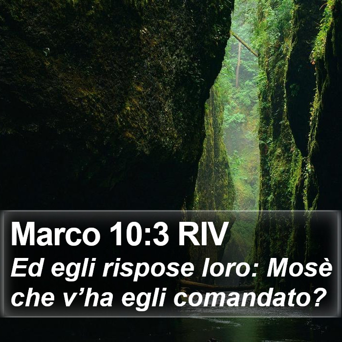 Marco 10:3 RIV Bible Study