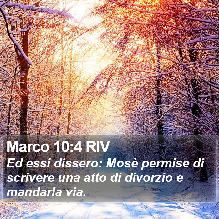 Marco 10:4 RIV Bible Study