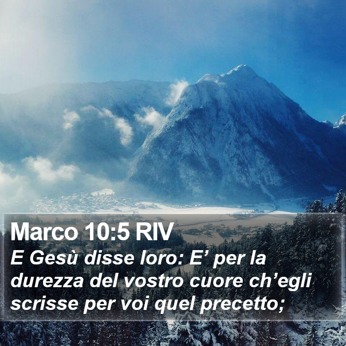 Marco 10:5 RIV Bible Study