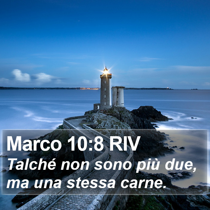 Marco 10:8 RIV Bible Study