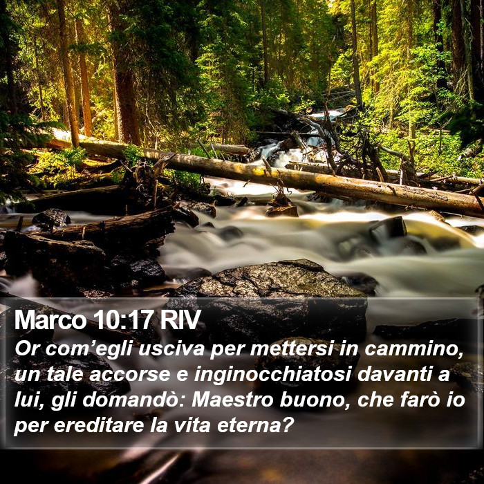 Marco 10:17 RIV Bible Study