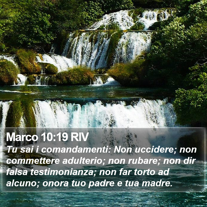 Marco 10:19 RIV Bible Study