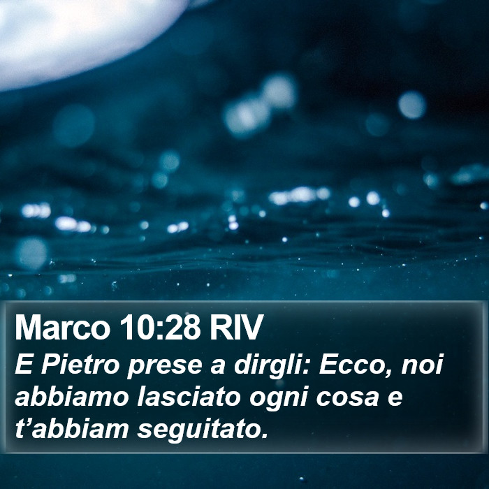 Marco 10:28 RIV Bible Study