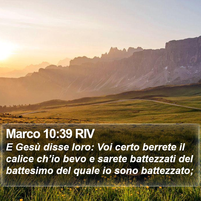 Marco 10:39 RIV Bible Study