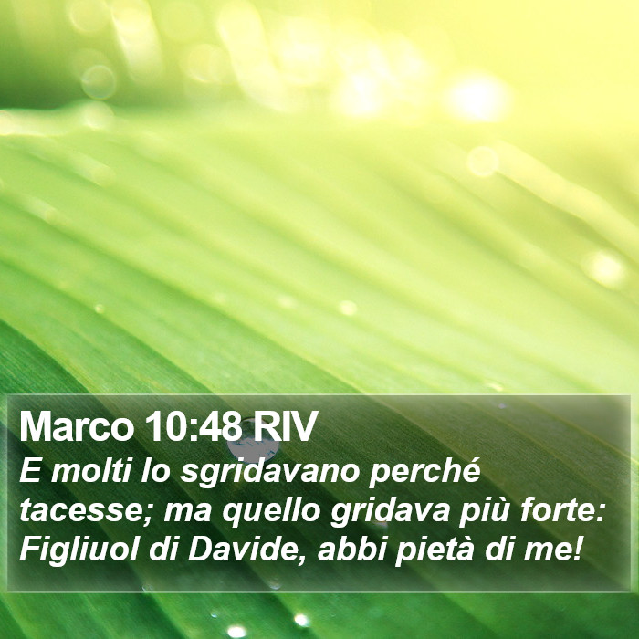 Marco 10:48 RIV Bible Study