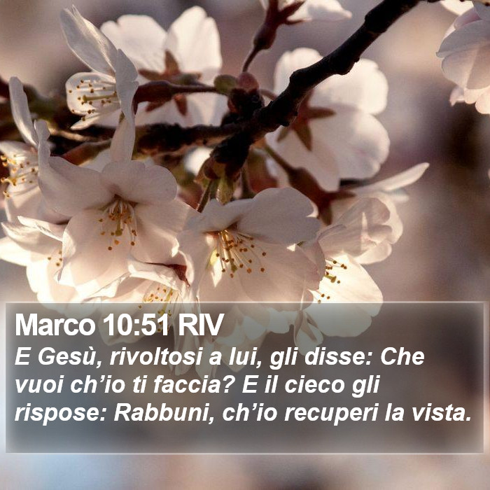 Marco 10:51 RIV Bible Study