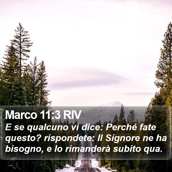 Marco 11:3 RIV Bible Study