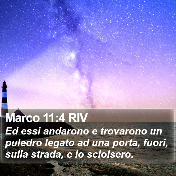 Marco 11:4 RIV Bible Study