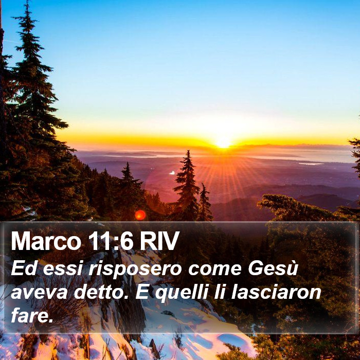 Marco 11:6 RIV Bible Study